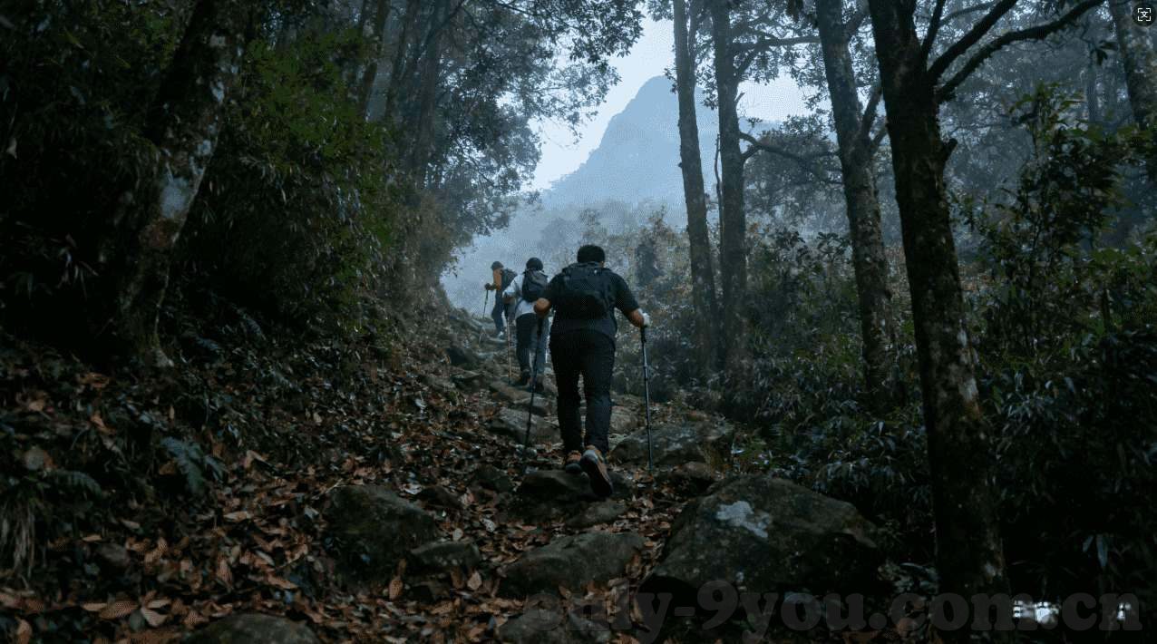 世界杯官方指定投注-世界杯官方指定投注，一场全球狂欢的体育盛宴